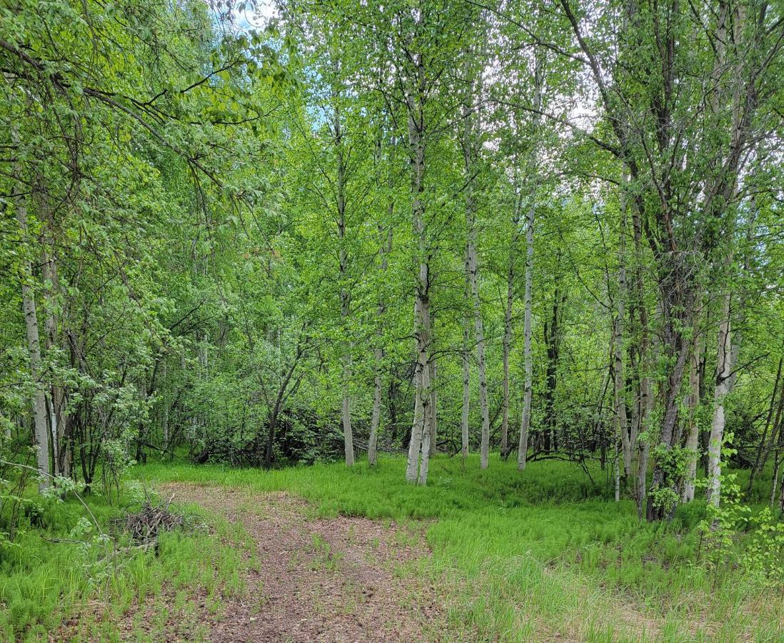 Alaska Grizzly Lodge Fairbanks Ngoại thất bức ảnh