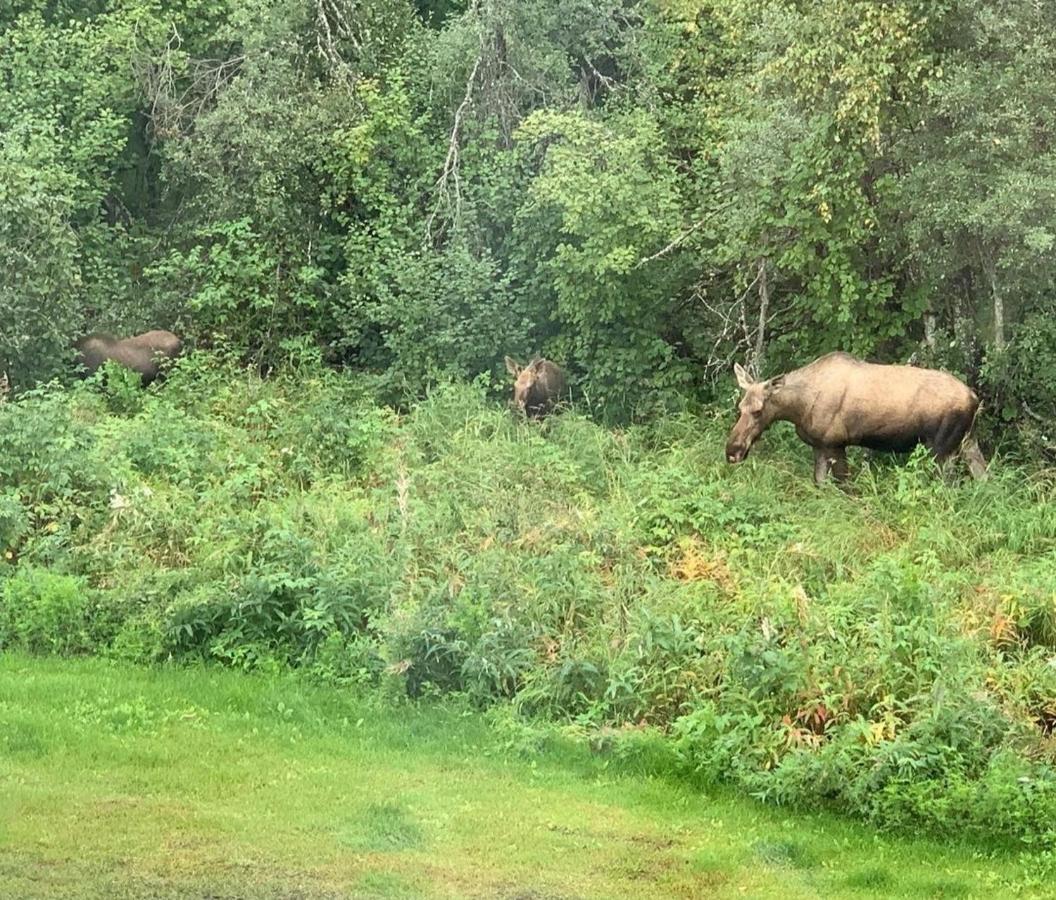 Alaska Grizzly Lodge Fairbanks Ngoại thất bức ảnh
