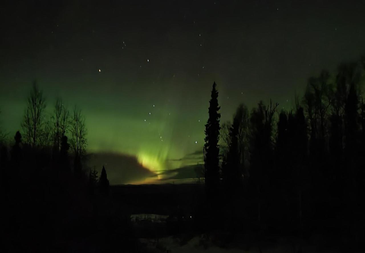 Alaska Grizzly Lodge Fairbanks Ngoại thất bức ảnh