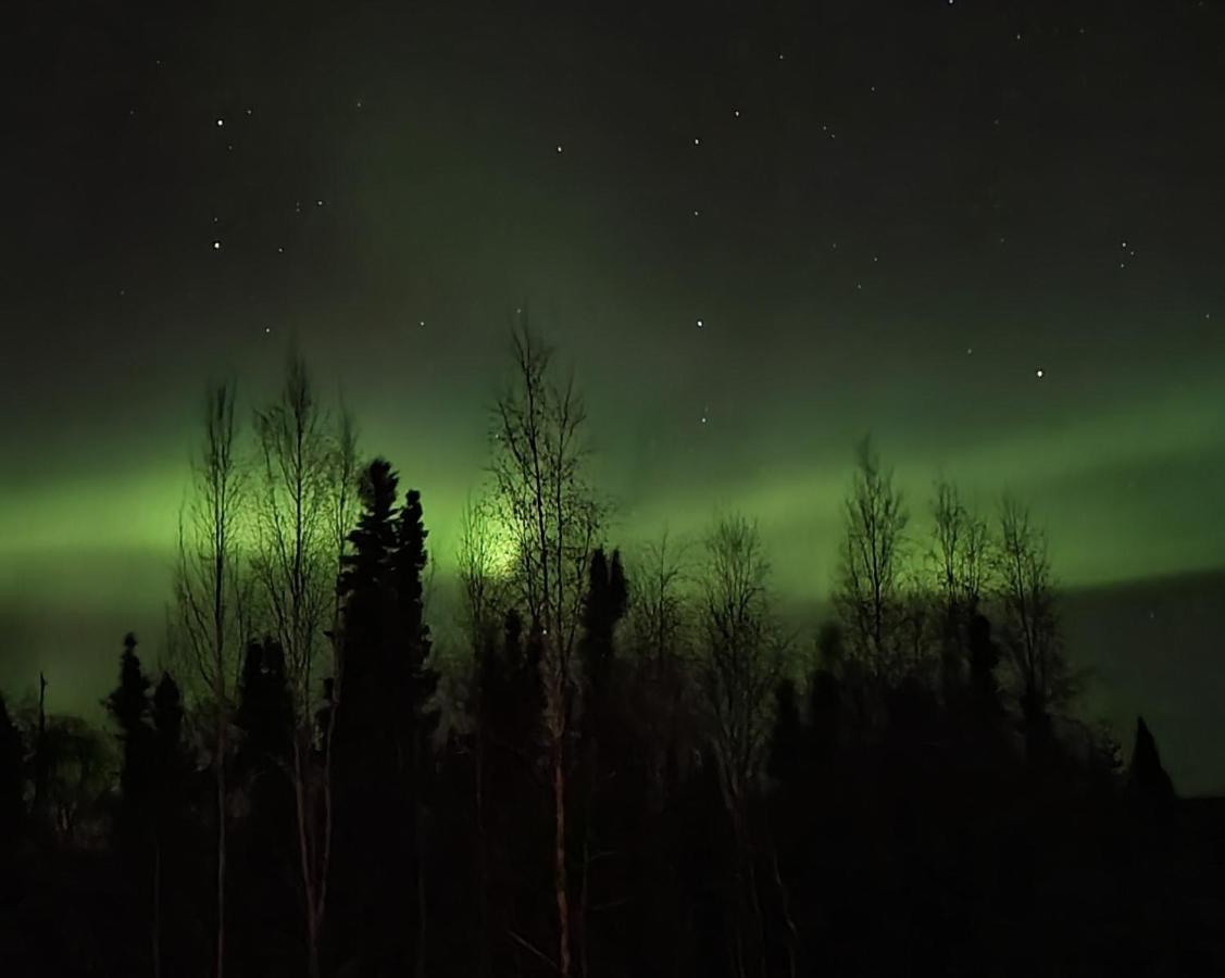 Alaska Grizzly Lodge Fairbanks Ngoại thất bức ảnh